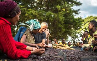 FARM TO CUP – TÁCH CÀ PHÊ VIẾT NÊN CUỐN TIỂU THUYẾT DÀI