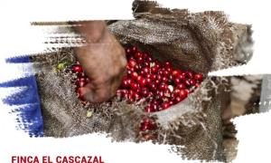 PHIÊU NHẸ CÙNG FINCA EL CASCAJAL DECAF