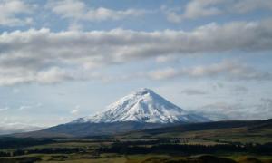 WHY DO SOME PRODUCERS GROW COFFEE NEAR ACTIVE VOLCANOES?