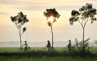 THAY MÁU – BƯỚC CHUYỂN MÌNH CỦA NGƯỜI DÂN TRỒNG CÀ PHÊ