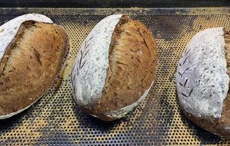 Sourdough Multigrain bread – A great choice for you!