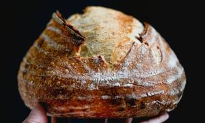 Bánh mì Sourdough Regular – Xu hướng bánh mì dinh dưỡng ngày nay