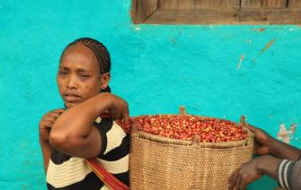 Addressing Colonial Inequalities In The Coffee Sector