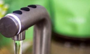 What Café Owners and Baristas Need to Know About Water Quality