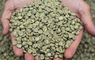 A Da Nang coffee beans supplier can keep the origin
