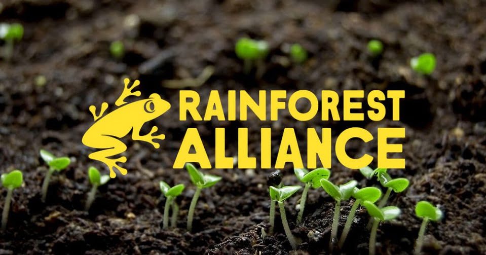 Rainforest Alliance( RFA) thực sự là gì? Nó có ảnh hưởng như thế nào? 