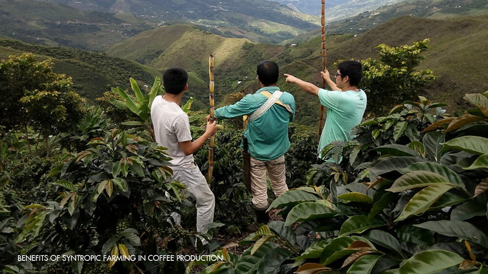 Specialty Coffee in Vietnam