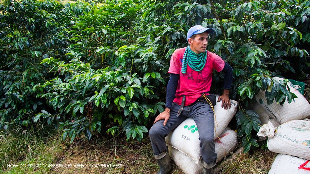 Specialty Coffee in Vietnam