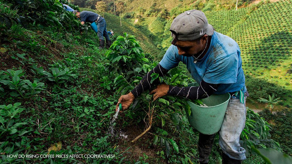 Specialty Coffee in Vietnam