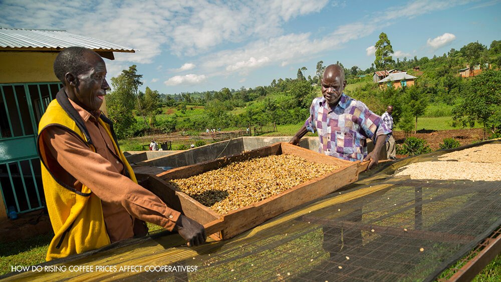 Specialty Coffee in Vietnam