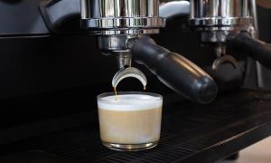 DISCOVER THE TASTE OF COFFEE WITH THE MILKBASE METHOD