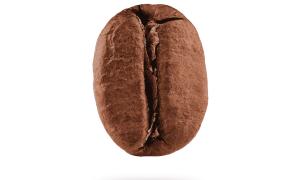 Decaf – Kẻ lạc loài kì diệu trong thế giới cà phê