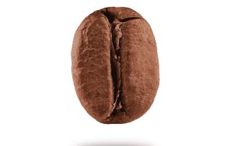 Decaf – Kẻ lạc loài kì diệu trong thế giới cà phê