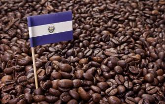 Cà phê El Salvador – Điệu ngọt Trung Mỹ cổ điển và cân bằng