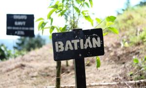 Cà phê Batian – Viên ngọc quý của vùng Kenya