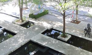 Koi fish cafe – Beauty of a peaceful place