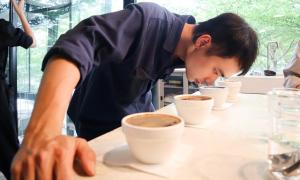 Aroma là gì? Sức hấp dẫn của hương thơm cà phê nguyên bản