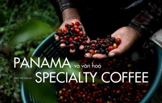 Panama Coffee – The Best In Specialty Industry