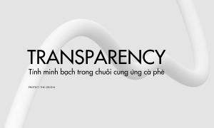 Transparency – Tính Minh Bạch Trong Chuỗi Cung Ứng Cà Phê