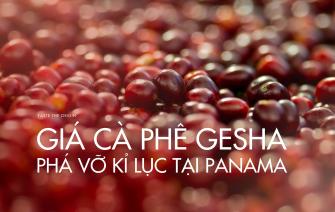 Giá cà phê Gesha phá vỡ kỷ lục tại Panama