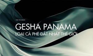 Tại sao Gesha Panama là cà phê đắt nhất thế giới?