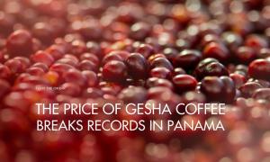 The price of Gesha coffee breaks records in Panama