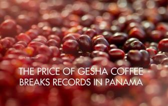 The price of Gesha coffee breaks records in Panama