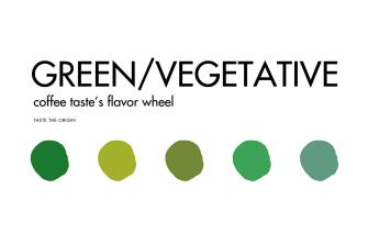 Green/Vegetative – Vòng Tròn Hương Vị
