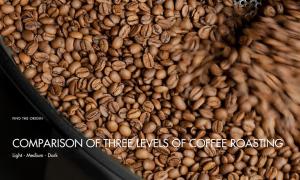 Comparison of three levels of coffee roasting