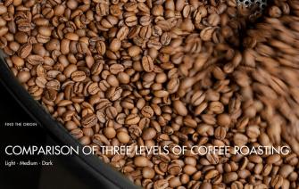 Comparison of three levels of coffee roasting