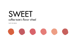 Sweet – Coffee Taster’s Flavor Wheel