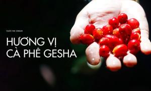 Hương Vị Cà Phê Gesha