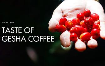 Tastes Of Gesha Coffee