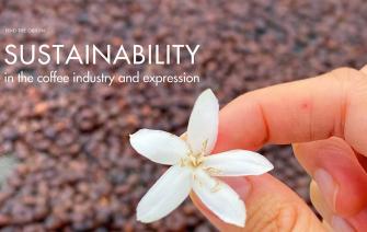 Sustainability in the coffee industry and its manifestations