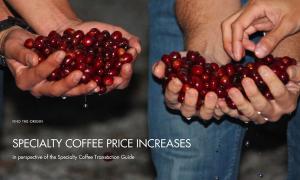 The prospect of rising specialty coffee price