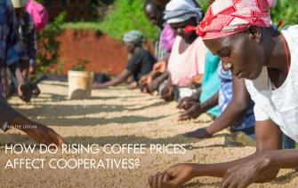 How do rising coffee prices affect cooperatives?