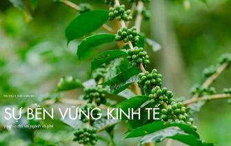 Meaning of economic sustainability in the coffee industry