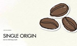 Single Origin coffee quality structure