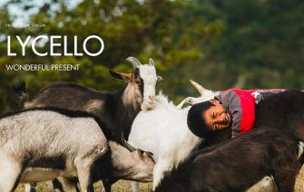 Lycello coffee is a great Christmas gift!