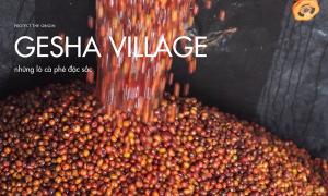 Những lô cà phê đặc sắc của Gesha Village