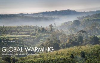 Risks of Arabica coffee because of global warming