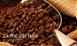 Triển vọng cho ngành cà phê Việt Nam