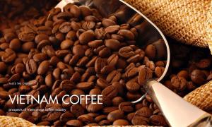 Prospects of Vietnamese coffee industry