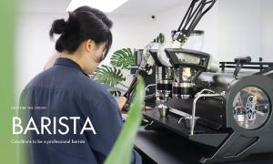 What is a barista? Conditions of a professional barista