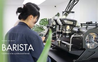 What is a barista? Conditions of a professional barista
