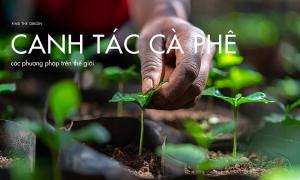 Các phương pháp trồng cây cà phê trên thế giới