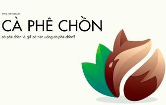 Cà phê chồn là gì? Có nên uống cà phê chồn?