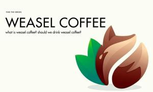What is weasel coffee? Should we drink weasel coffee?