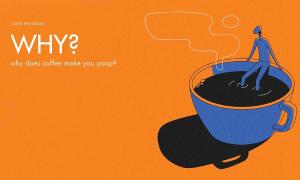 Why Does Coffee Make You Poop?