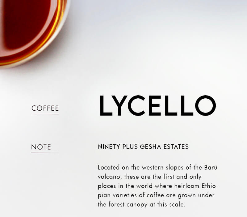 Cà phê Lycello - gesha coffee
